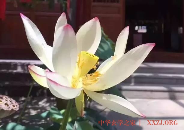 每日一禅：世上，没有走不通的路，只有想不通的人