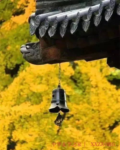 八万四千法门:是怎么来的? 八万四千法门:是怎么来的?