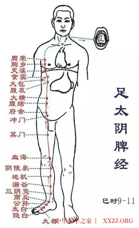 火往上走,寒往下沉,腿是寒气的大本营 火往上走,寒往下沉,腿是寒气的大本营