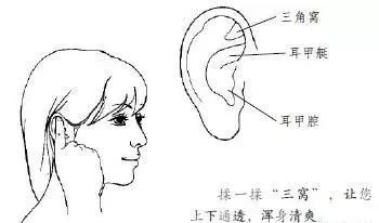 耳部养生法:常揉六处,延年益寿 耳部养生法:常揉六处,延年益寿