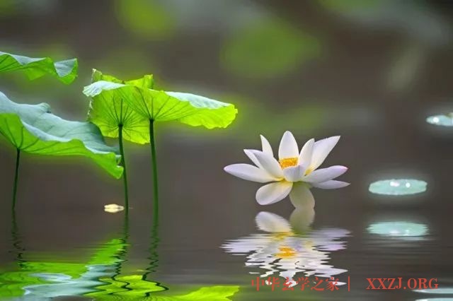 无论遇见什么,你只需保持平静(修行好文) 无论遇见什么,你只需保持平静(修行好文)