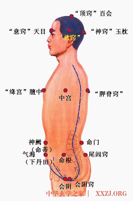 一穴开而百穴开——海底轮修炼 一穴开而百穴开——海底轮修炼