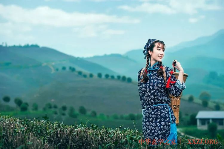 《茶香白云飘》禅茶一味，静心安然