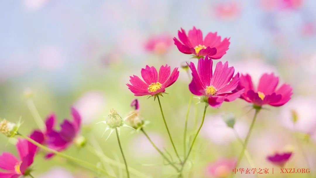 春季养生七点注意