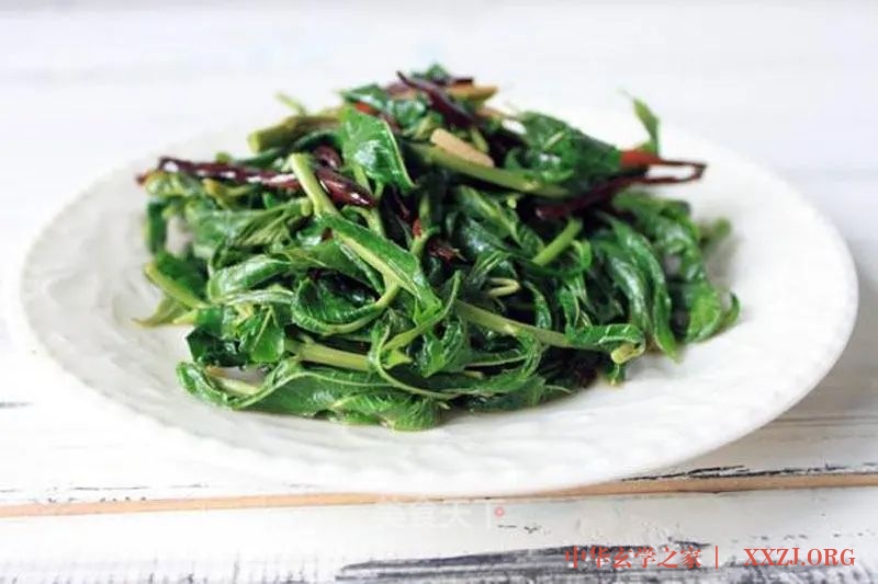 “树上的蔬菜，舌尖上的春味”，教您椿芽健康吃法！