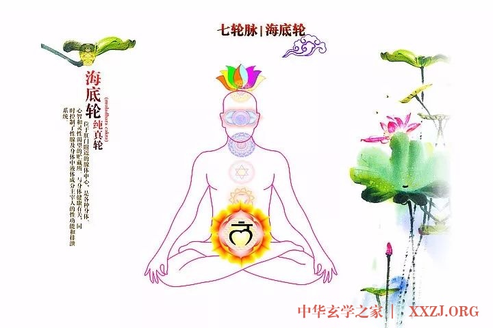 一穴开而百穴开——海底轮修炼 一穴开而百穴开——海底轮修炼