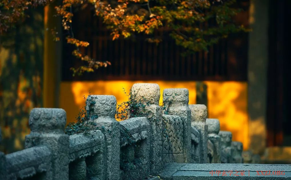 啥叫做人(建议收藏) 啥叫做人(建议收藏)