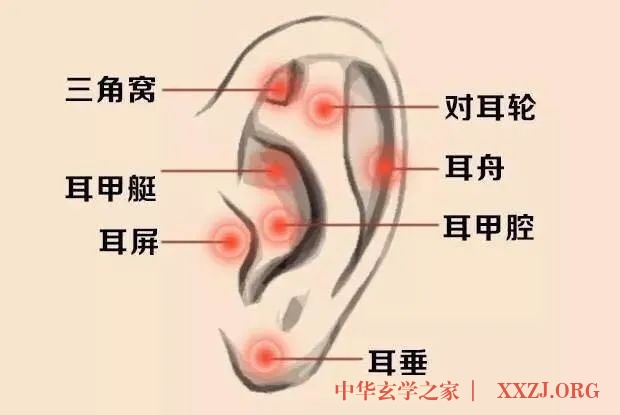入冬后这样揉耳朵让肾气凌人、气血通畅! 入冬后这样揉耳朵让肾气凌人、气血通畅!