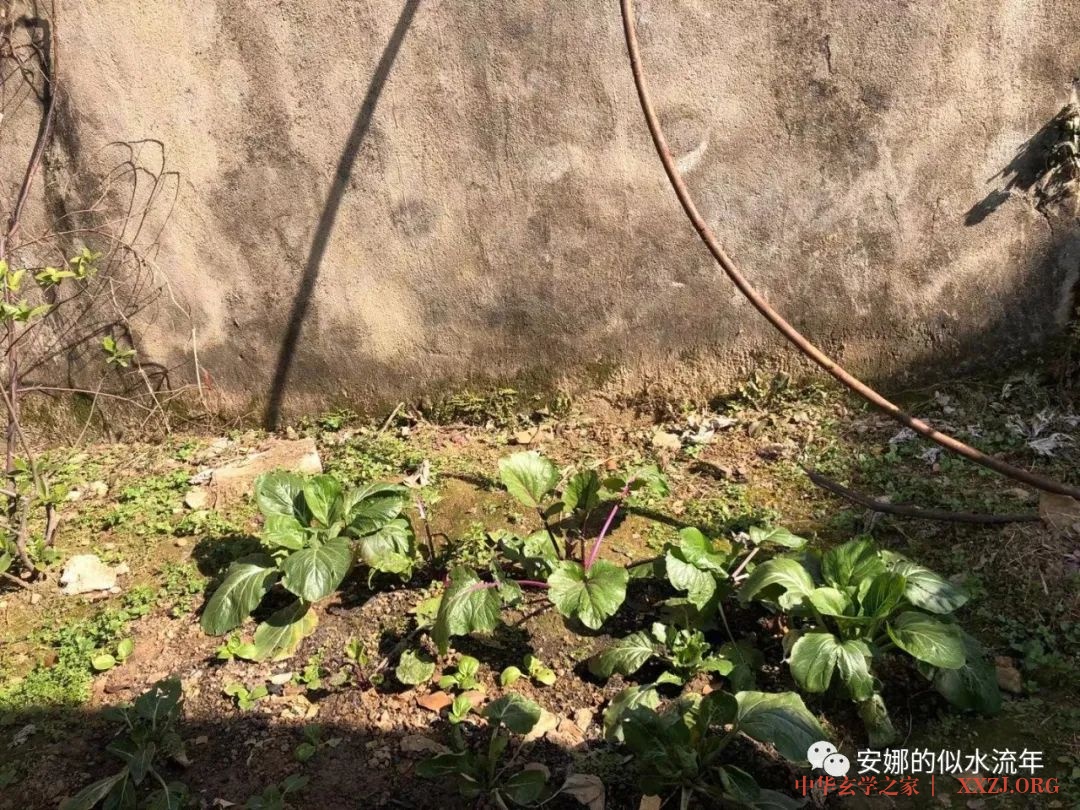 雨宝陀罗尼经修持法会