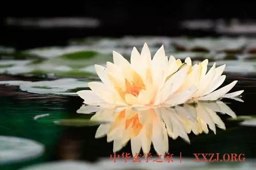 60首超好听的佛歌，随喜转发，功德无量