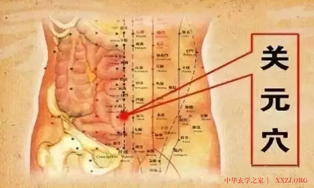 保持身体健康的秘诀：通胃经、补脾经、摩关元