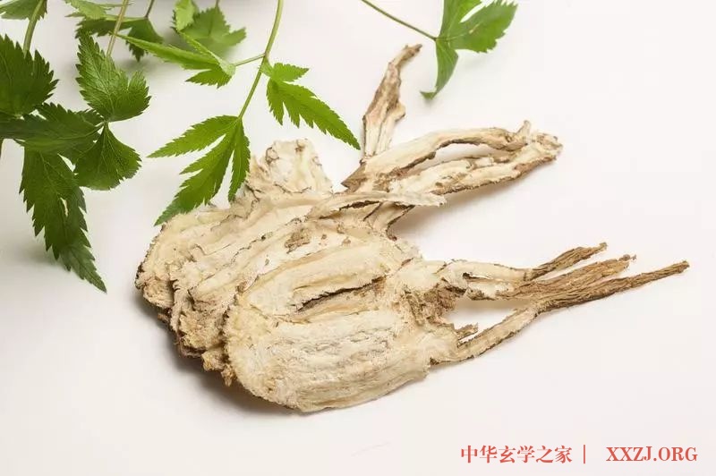 四物汤,补血第一方 四物汤,补血第一方