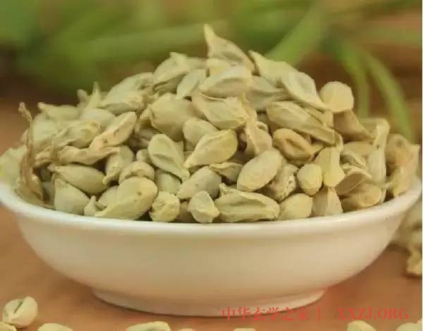 橘核、花生皮、茄子蒂的功效