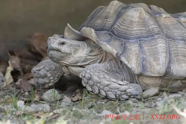 一个叫花子的故事(十个人看完十个人开悟) 一个叫花子的故事(十个人看完十个人开悟)