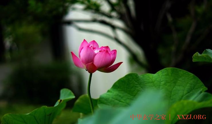 他们都干杀生的行当,后来苦了自己,苦了子孙,命运都很悲惨 他们都干杀生的行当,后来苦了自己,苦了子孙,命运都很悲惨