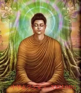 神奇打坐：精者可成道，粗者亦可祛病