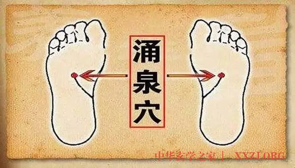 冬天阴冷,为什么还要“养阴”? 冬天阴冷,为什么还要“养阴”?