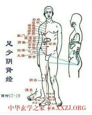 火往上走,寒往下沉,腿是寒气的大本营 火往上走,寒往下沉,腿是寒气的大本营