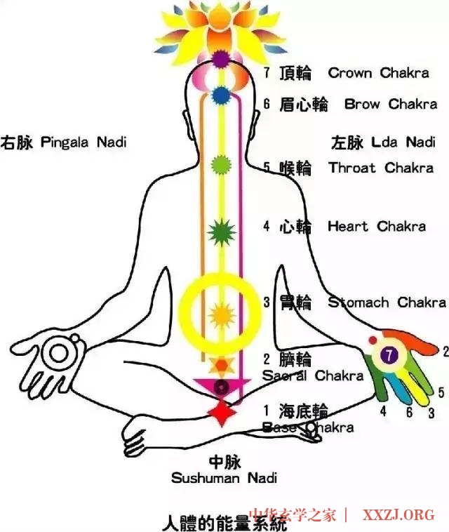 每天打坐,生命的改变由此发生! 每天打坐,生命的改变由此发生!