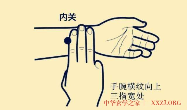 养护心脏的简便方法:按内关穴 养护心脏的简便方法:按内关穴
