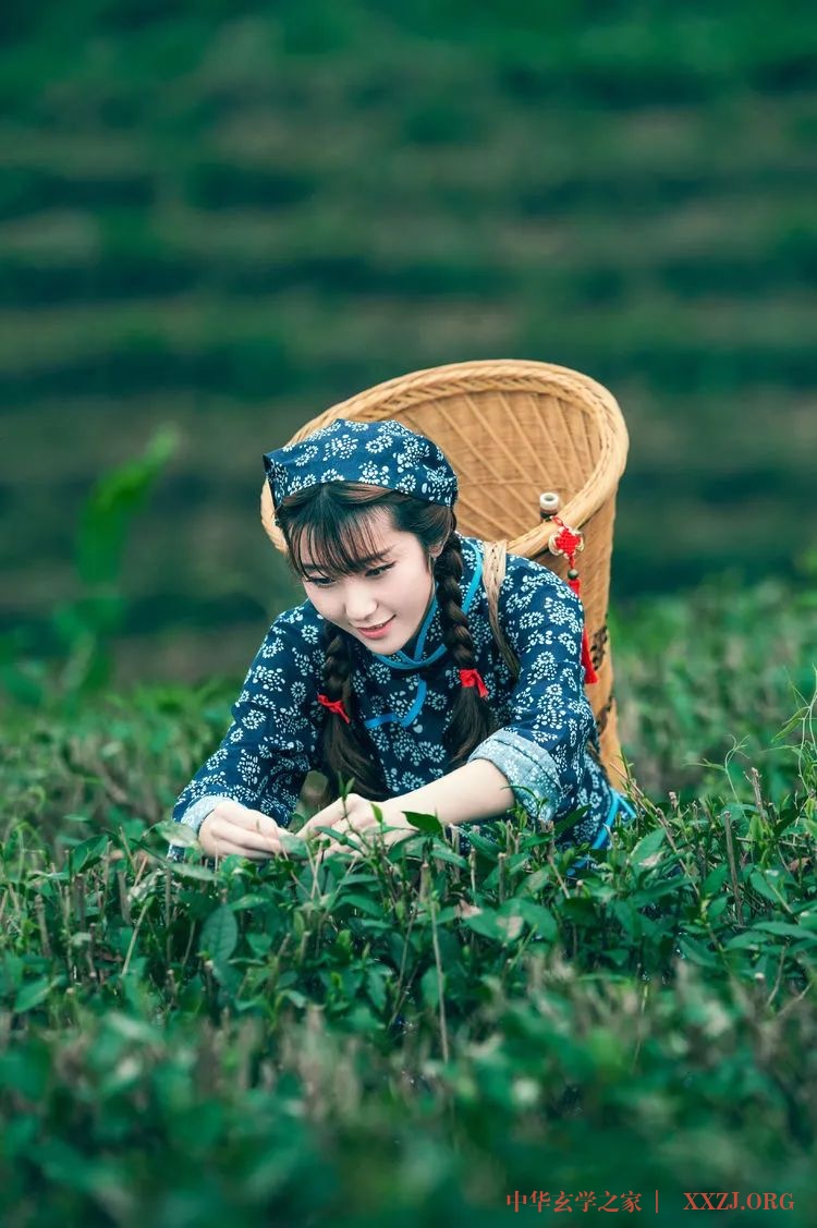 《茶香白云飘》禅茶一味，静心安然