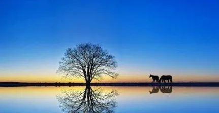 站在高维看人间，瞬间开悟