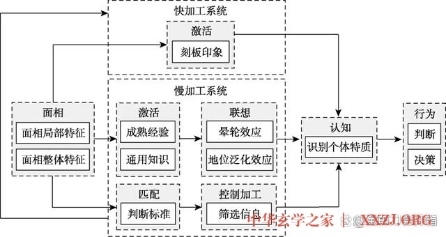 天生演员的“龙系长相”