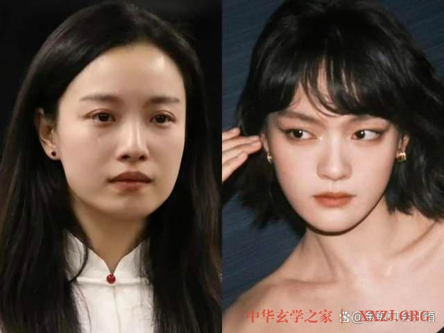 天生演员的“龙系长相”